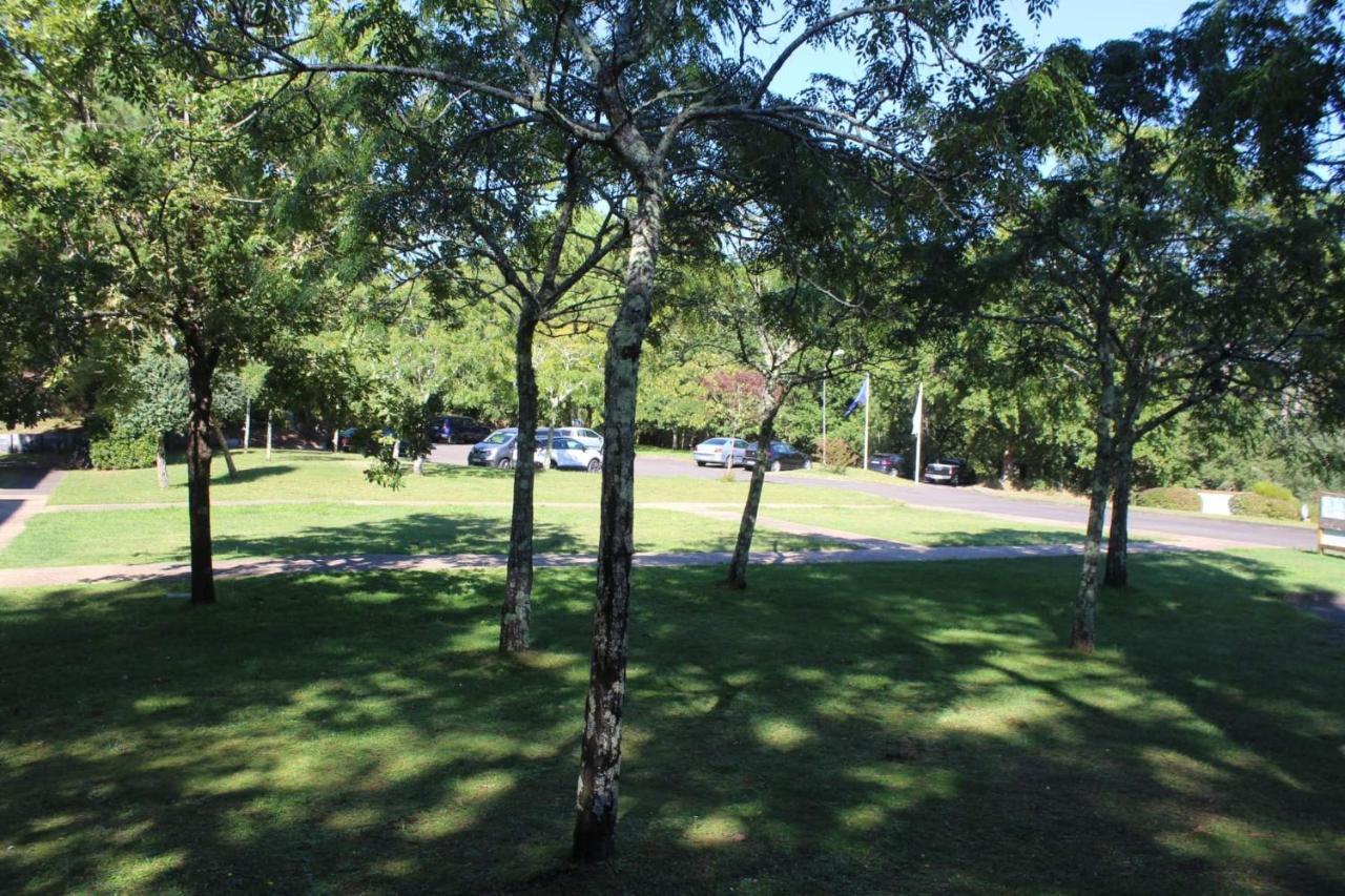 Residence Gascogne \ Appartement 116 Biscarrosse Buitenkant foto